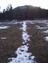 snow rivulet.jpg